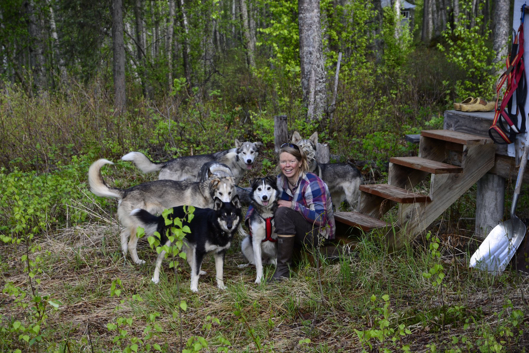 Iris Vandenham with her dogs