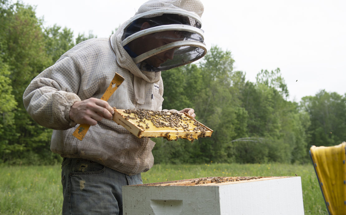 Man holding bees