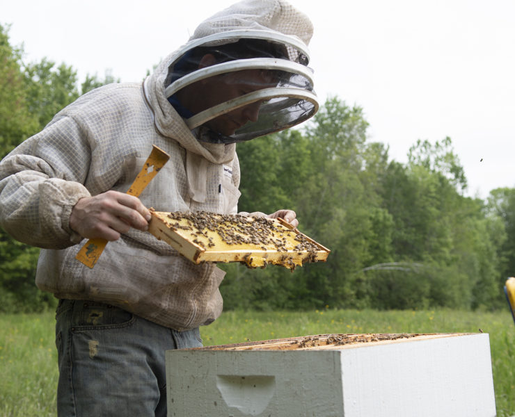 Man holding bees