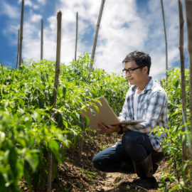 Man on a laptop in a field