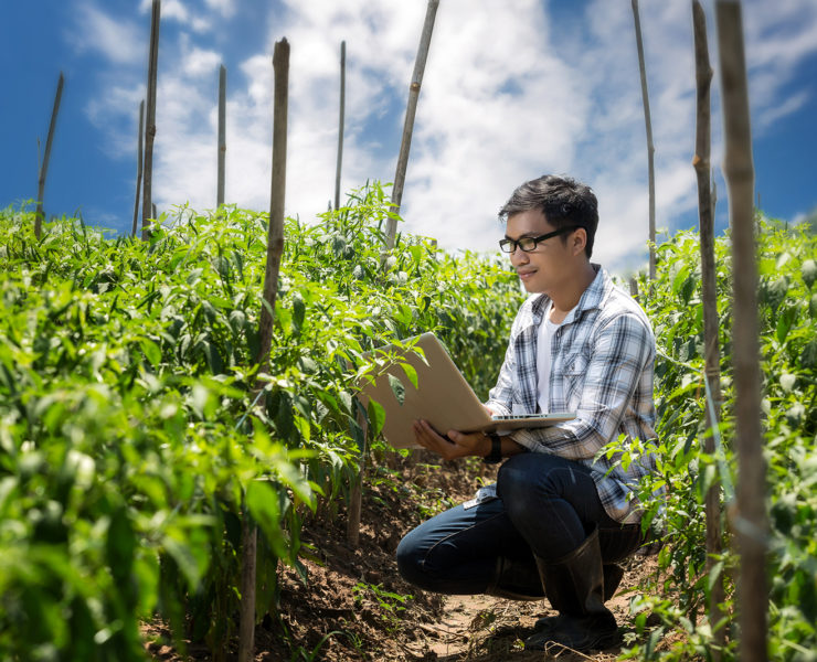 Man on a laptop in a field