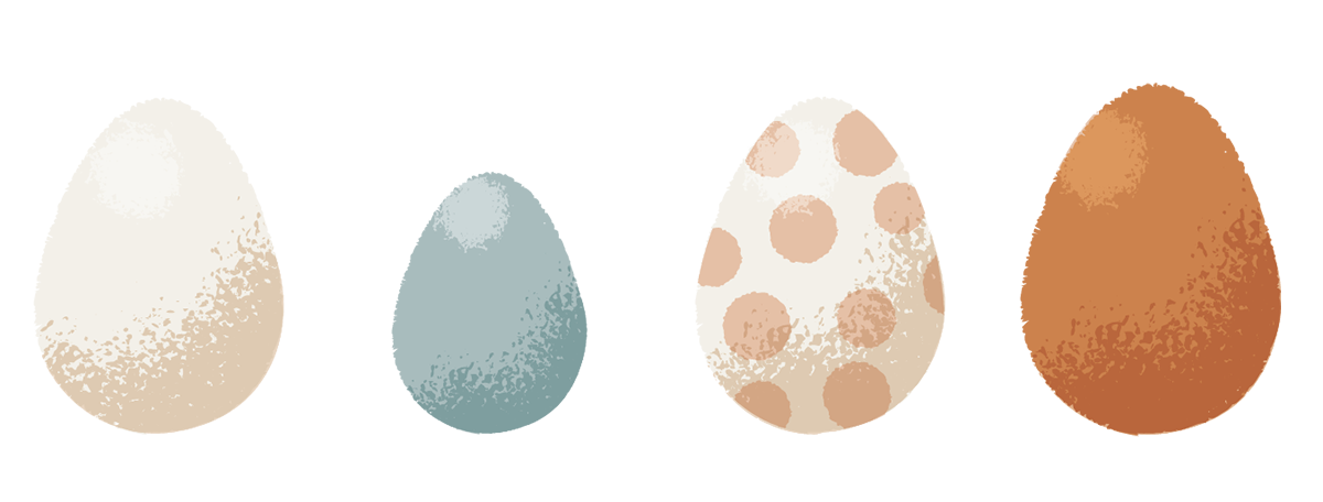 illustration of 4 eggs