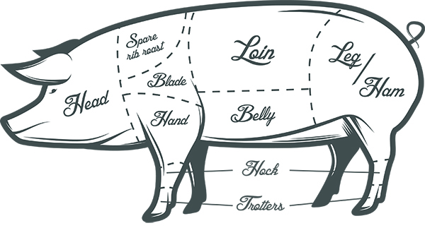 pig parts illustration